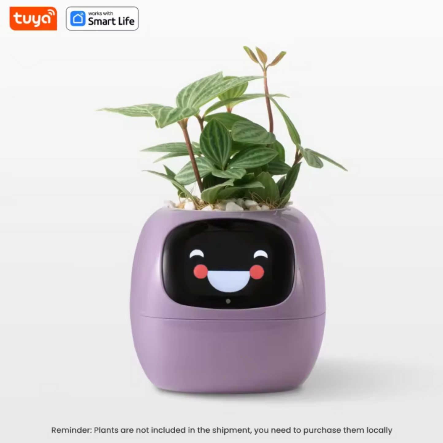PlantFriend™ - Ivy Smart Plant Pot