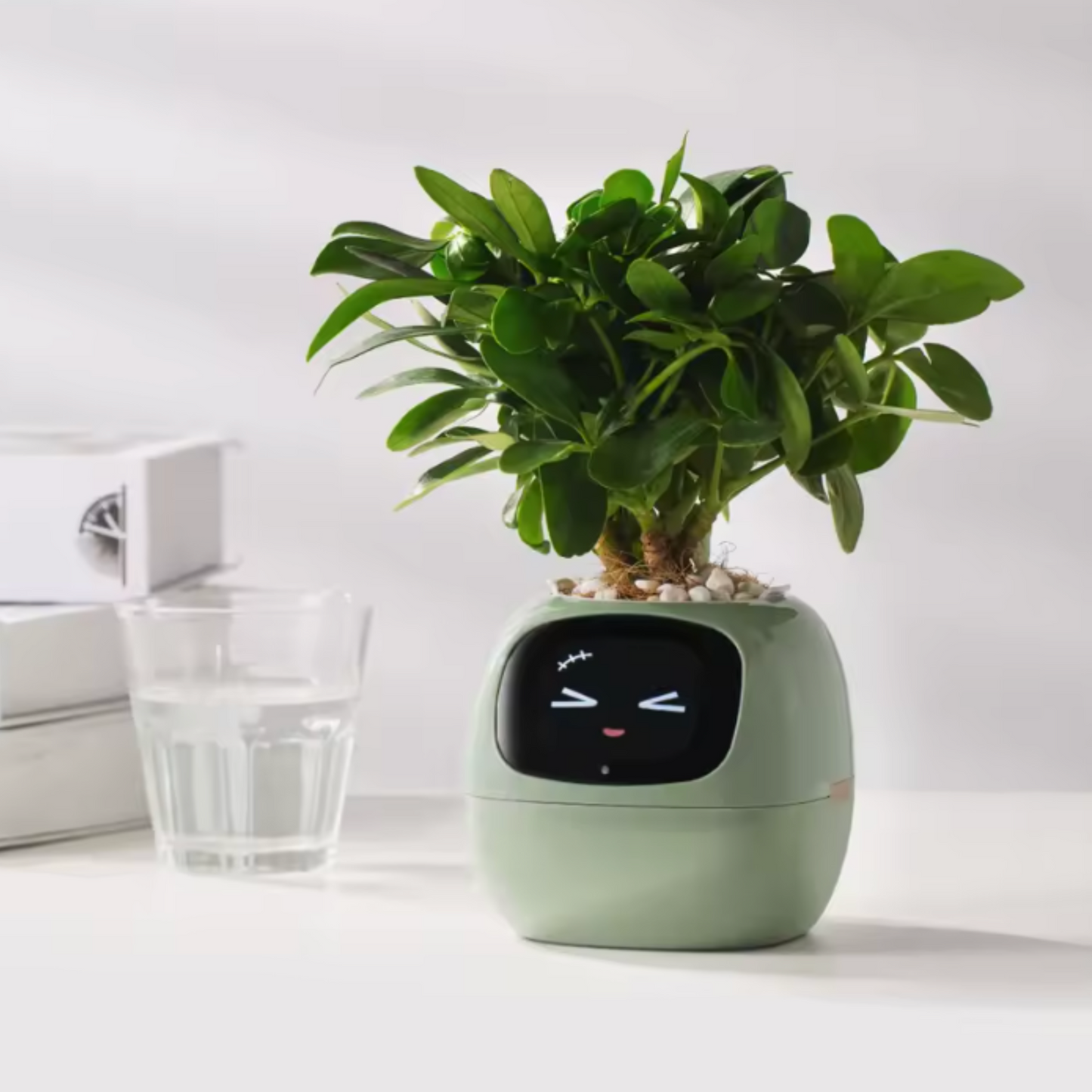 PlantFriend™ - Ivy Smart Plant Pot